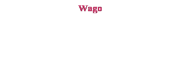 Text Box: Wago
&nbsp;
